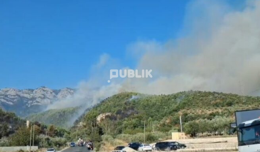 Një person qëllon me armë për të larguar zjarrfikësit në Krujë