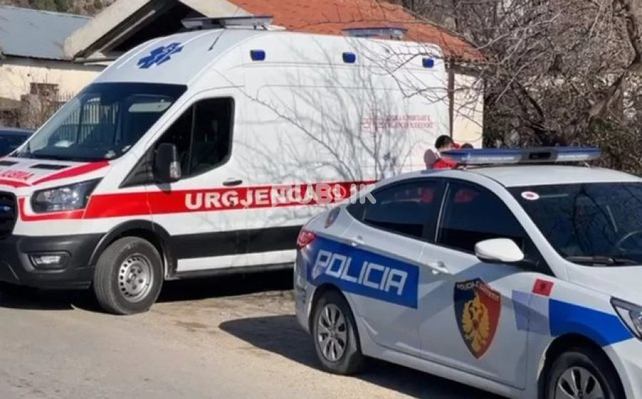 Vlorë, burri godet me sëpatë në ballë gruan, shoqërohet në polici