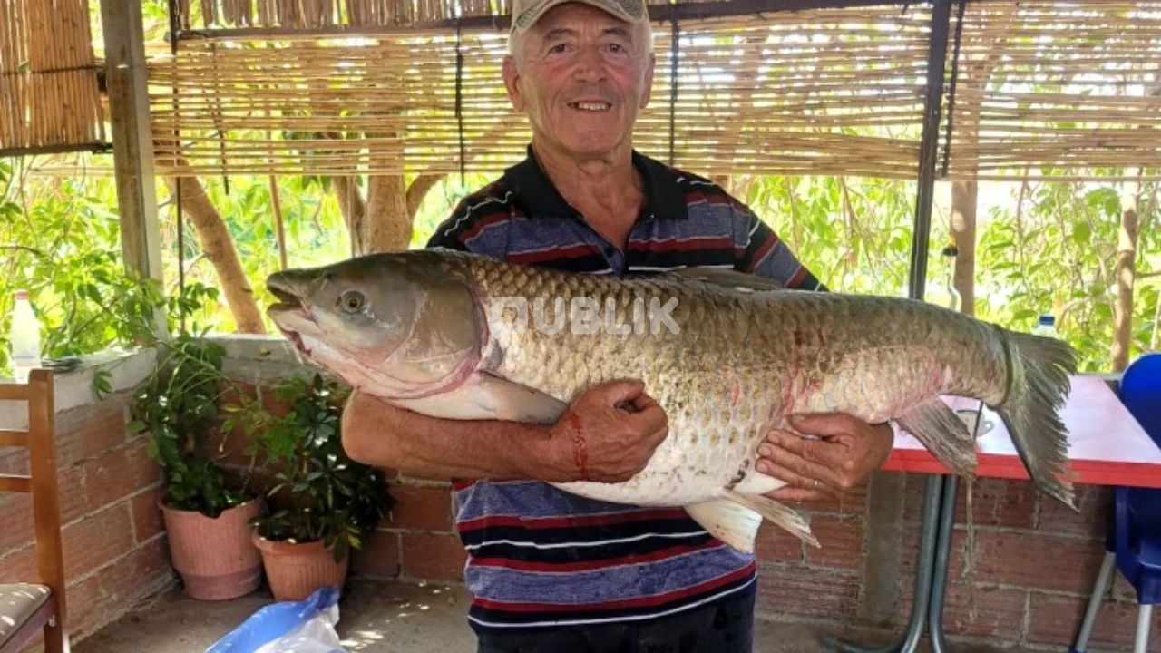 Peshkatari 71-vjeçar kap krapin gjigant 21.5 kg në Vjosë