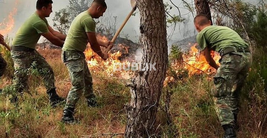 Lufta me flakët në Mirditë, plagoset efektivi i Forcave të Armatosura
