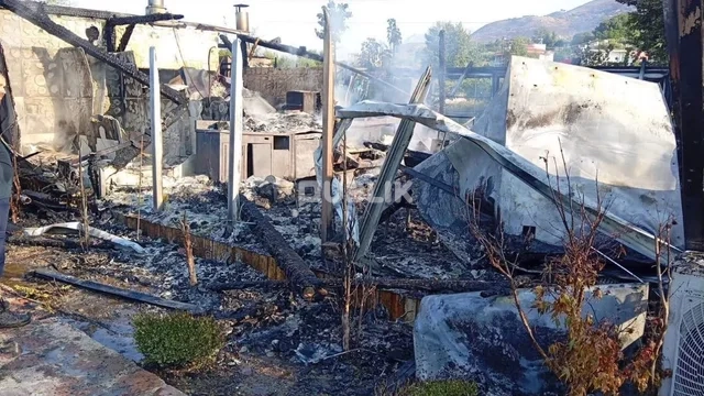 Të shtënat në Jug, djali i pronarit të ‘Brunesit’ mes 4 të ndaluarve