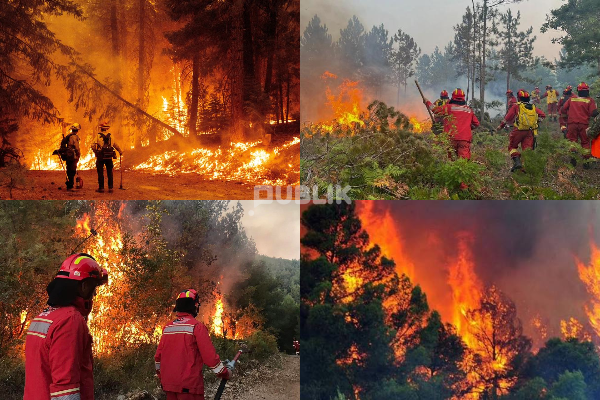 Tirana e rrethuar nga zjarret në ditën më të nxehtë të vitit