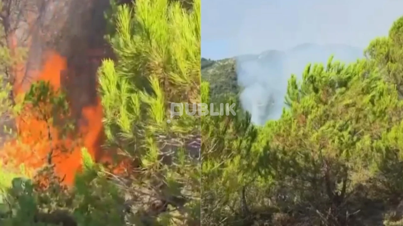 24 vatra zjarri në 24 orë në Shqipëri, 7 mbeten ende aktive