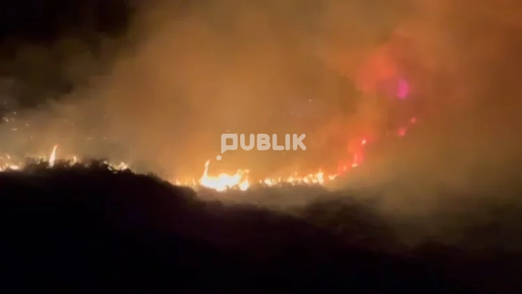 Grabitja në Paskuqan, zbardhet dëshmia e të arrestuarit: Maskat i kam qejf!