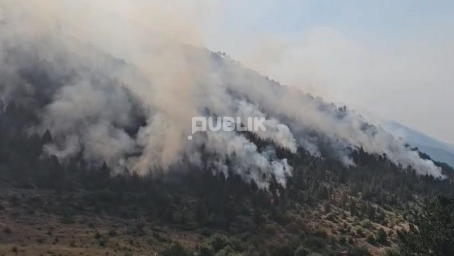 Jashtë kontrollit zjarri në Lurë, mbi 300 hektarë pyje të djegura