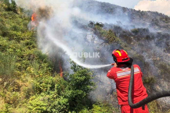 Zjarret nuk ndalen, 5 vatra ende aktive në Shqipëri – Dajti mbetet zona më problematike