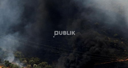 Zjarr në Libofshë, flakët rrezikojnë serat dhe stallat