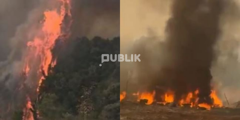 Digjen disa kioska shërbimi nga zjarri në Syrin e Kaltër