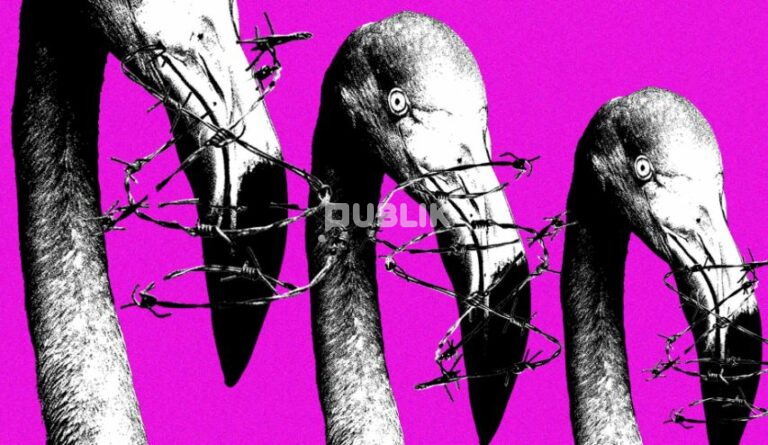 Meta nën hetim pas bllokimit të llogarive të Revolucionit Flamingo