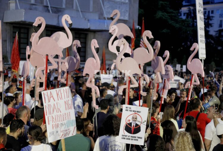 Lufta online rreth ‘Revolucionit të Flamingove’