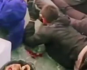 Protestuesit e shtrirë dhe lidhur përtokë, reagon Policia: S’janë në komisariat