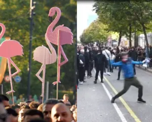 Nga flamingot te gurët