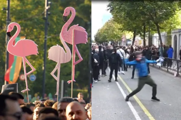 Nga flamingot te gurët