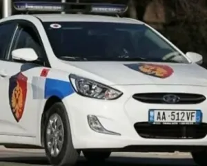 Megaoperacion në Malësinë e Madhe, sekuestrohen 265 kg kanabis dhe mina antitank