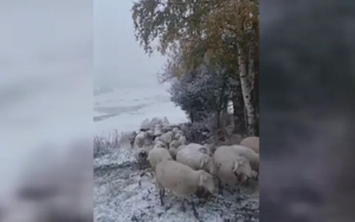 Dëborë dhe temperatura deri në -4°C, dimri troket para kohe në Kukës