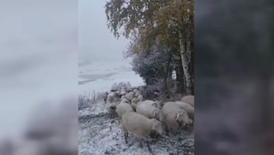 Dëborë dhe temperatura deri në -4°C, dimri troket para kohe në Kukës