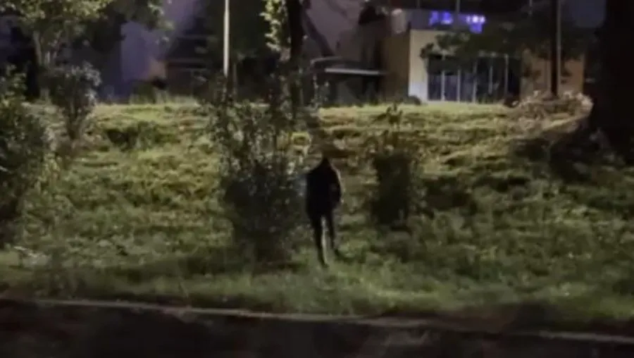 ‘Zbythet’ Klevis Balliu, përfundon në Lanë nga protestuesit