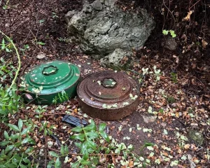 Zbulohen dy mina antitank në Borsh