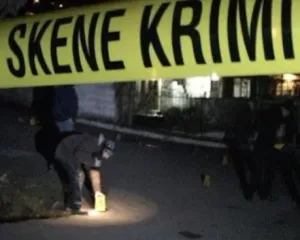 Detaje/Viktima u qëllua në pjesën e sipërme të trupit, dyshohet se u vra me silenciator