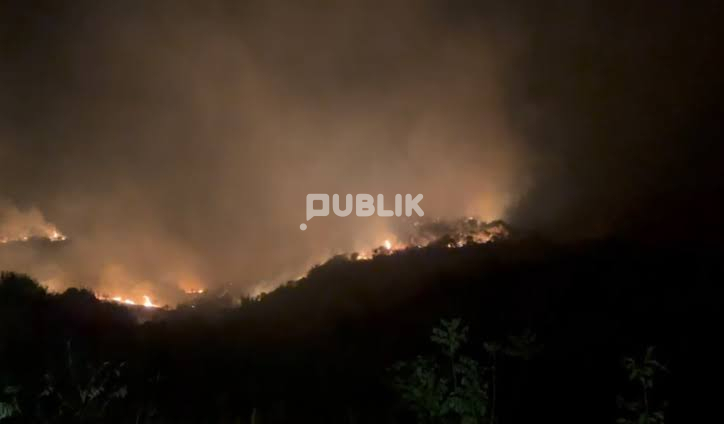 Zjarr i madh në Kotë të Selenicës, flakët afrohen pranë banesave