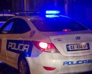 Gjermani sulmon me thikë dy policë gjatë arrestimit në Malësinë e Madhe